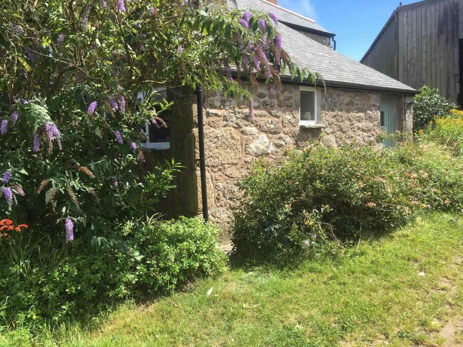 Camellia Loft Apartment Penzance Exterior photo